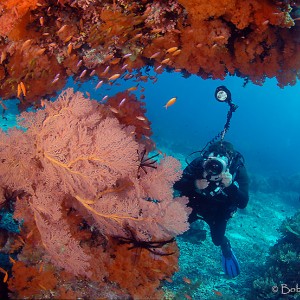 Raja Ampat December 06