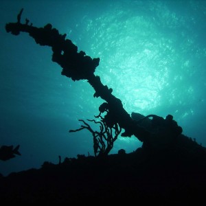 Wreck of the Rhone Bow