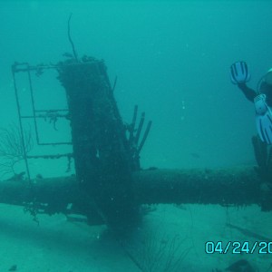 Hilma Hooker Bonaire