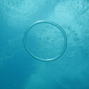 air bubble fun