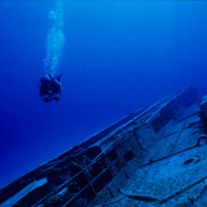 Diver off starboard