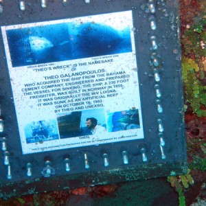 Theo's wreck plaque