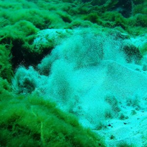 Deep Hole Spring