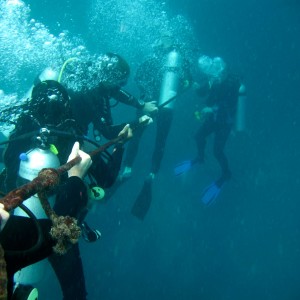 Descend at Tres grutas