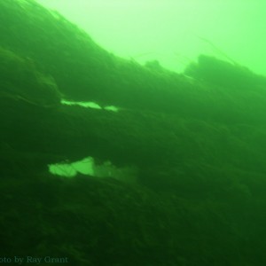 TOKIO wreck in the St. Clair River