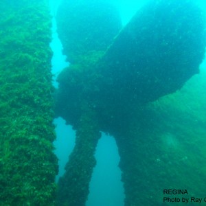 REGINA propeller