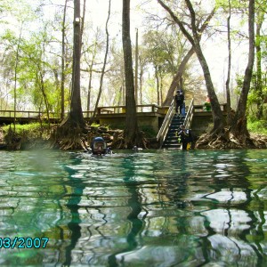 In Ginnie Springs