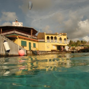 Buddys in Bonaire