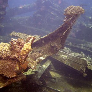 2007-04-05_-_dive_7_-_Tiran_Straits_-_Kormoran_wreck_-_Coral_on_the_Kormora