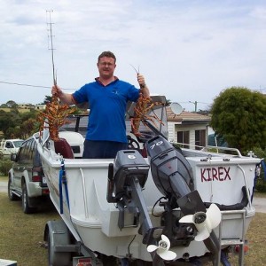 King Island Lobsters