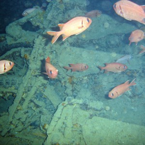 BSA motorbikes, SS Thistlegorm