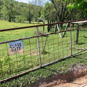 open the gate and drive thru the cow pasture/close the gate so the cows don