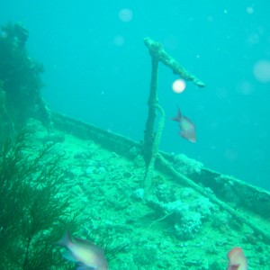 SS Thistlegorm, Red Sea