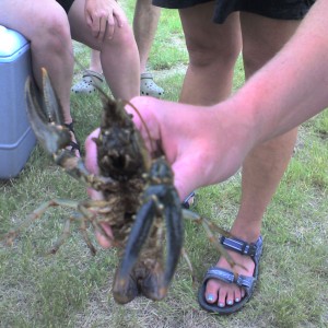 Rocky Mountain Lobsters