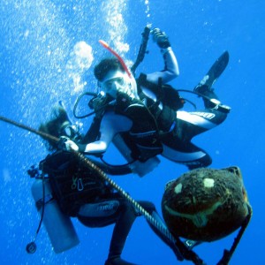 Wreckless Diving