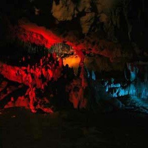 Florida Caverns State Park