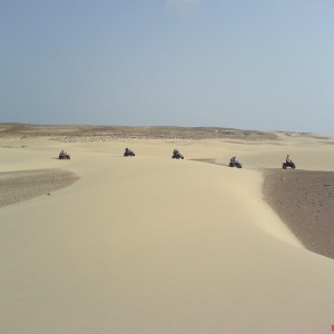 Cabo Verde Sea Turtle Protection Project 2007