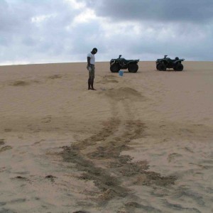 SeaTurtle protection needed at Cabo Verde