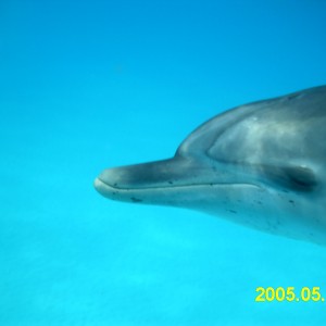 bahamas 2005