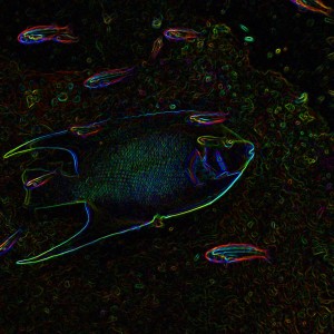 Neon_Blue_Angel_Fish_2