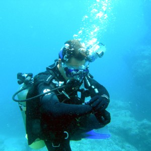 Divebuddy