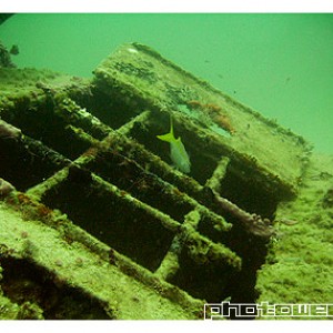 Remolcador dive - Fish living in wrecked tank