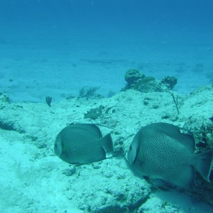 Follow the Leader/Cozumel/3.29.07