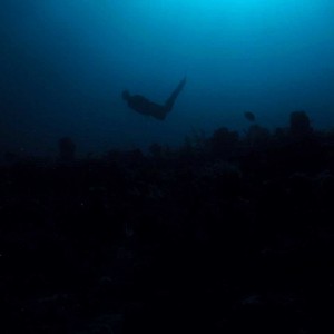 Dan freedives down on Castle Ledge