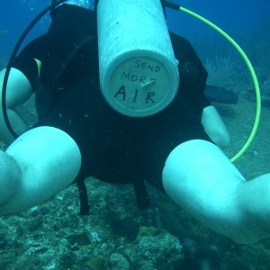 Roatan diving 2007