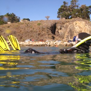 Point Lobos