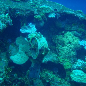 Bow of Fujikawa Maru