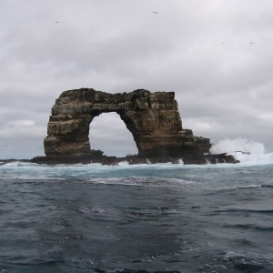 Darwin's Arch