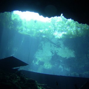 West_Palm_and_Blue_Grotto_2007_002