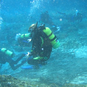 West_Palm_and_Blue_Grotto_2007_043