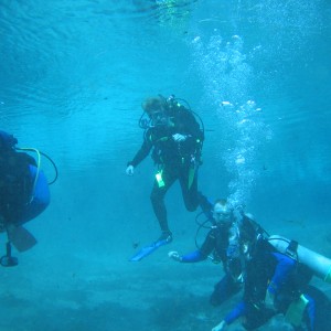 West_Palm_and_Blue_Grotto_2007_047