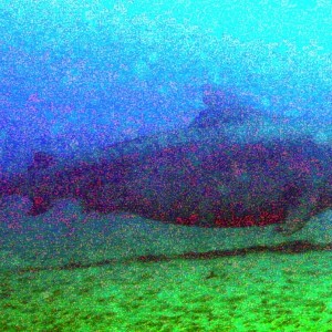 Maui 2007