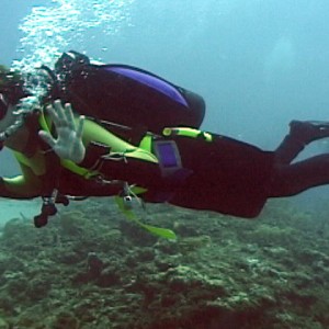 New Certified Diver