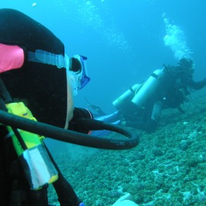 looking at another diver