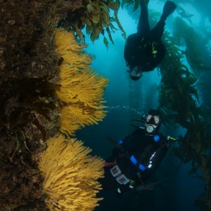 Casino_point_Catalina_CA_11_2007_062