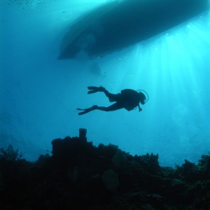 boat_and_diver