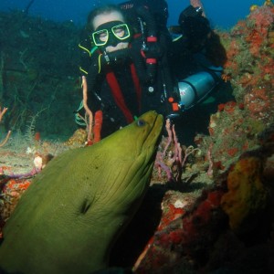 My Dive Buddy on Wreck of the Jim Atria With Eel