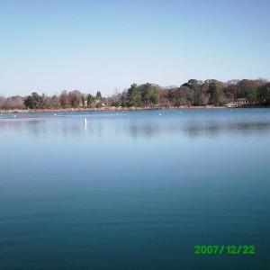 Athens Scuba Park