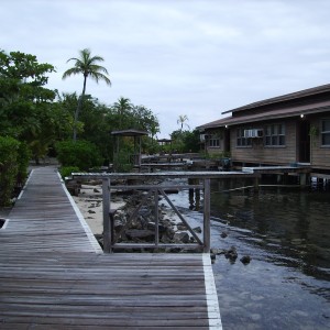 Roatan Cocoview