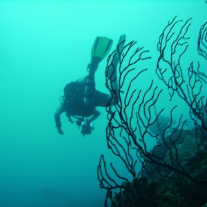 Roatan 8