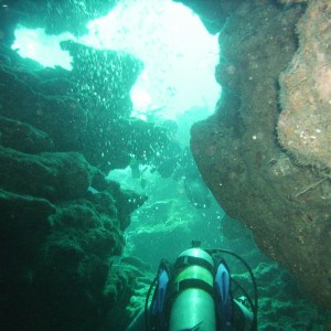 Swimming the crack Roatan