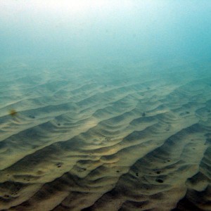 Sand_Ripples