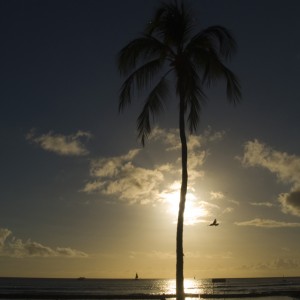 hawaii - Oahu