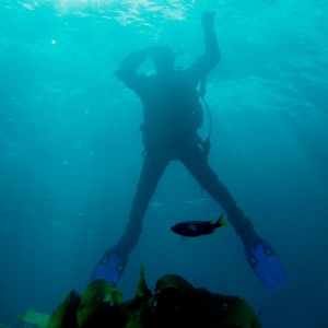 Diver decending