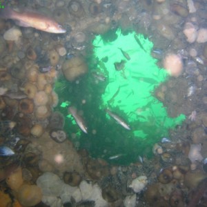 Wreck in Grand Narrows/Cape Breton/Nova Scotia/Canada