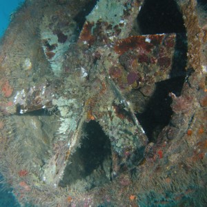 Castor Shipwreck